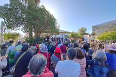 biblioteca_concierto-3