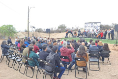 concierto_15_semillas-10