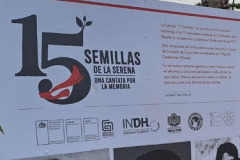 concierto_15_semillas-4
