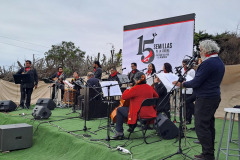 concierto_15_semillas-8