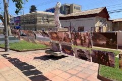 imagenes_varias-15