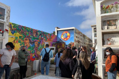 imagenes_varias-4