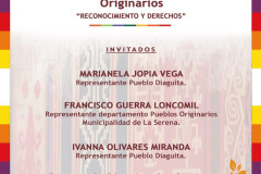 pueblos_originarios-1