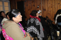 pueblos_originarios-10