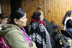 pueblos_originarios-11