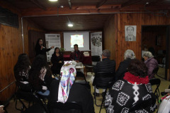 pueblos_originarios-19