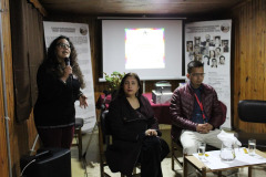 pueblos_originarios-27