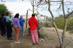 Visitas extranjeras
