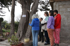 visitas_extranjeros_00006