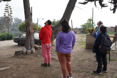 visitas_extranjeros_00008