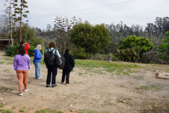 visitas_extranjeros_00010