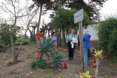 visitas_extranjeros_00012